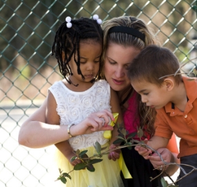 teacher showing small children a branch outside